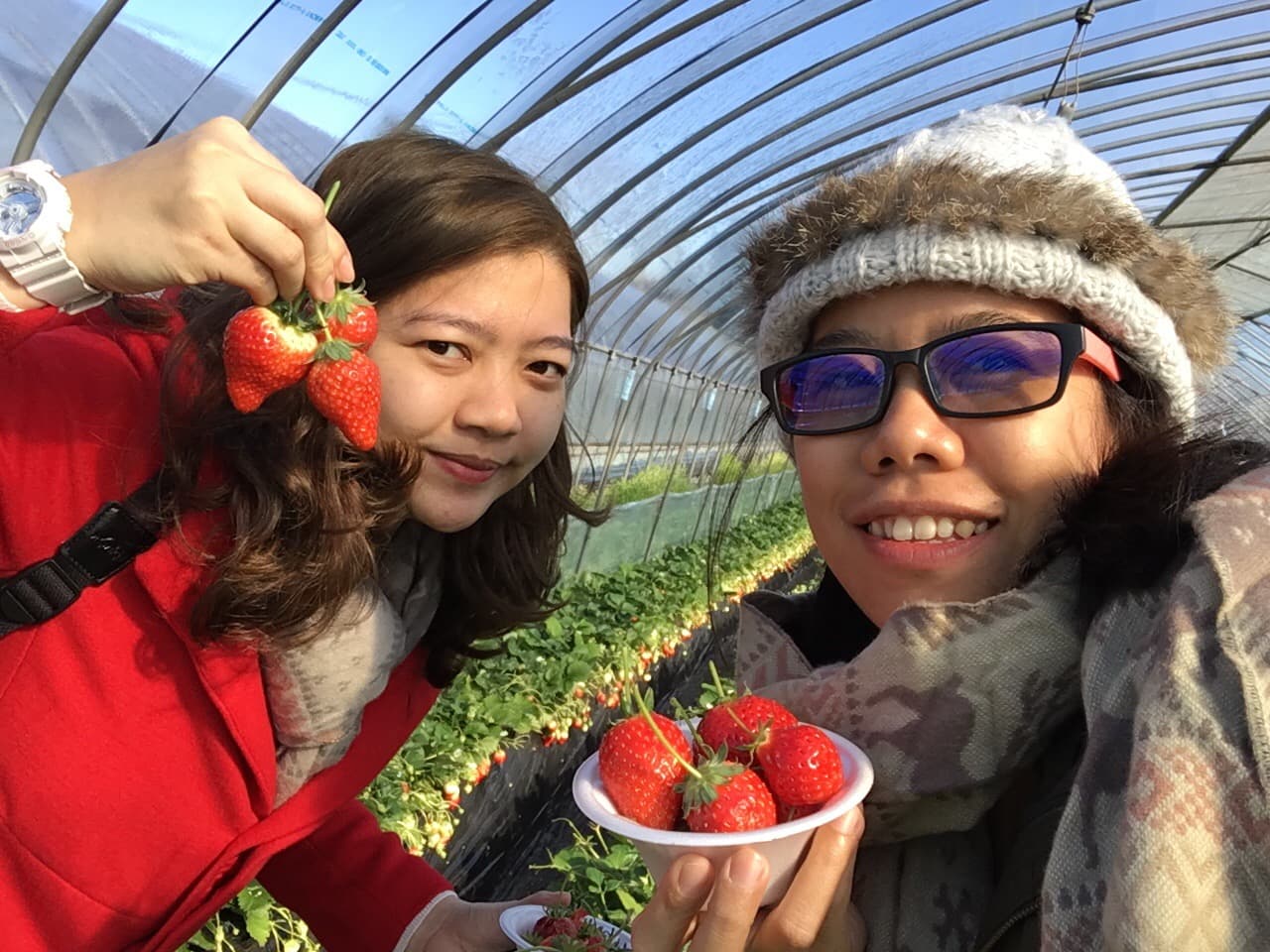 Winter in Japan 2016