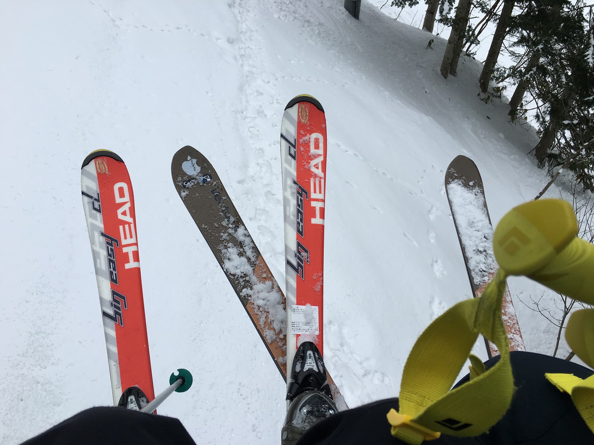 Winter in Japan 2016