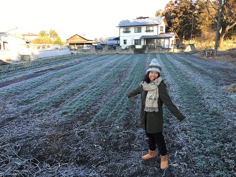 Winter in Japan 2016