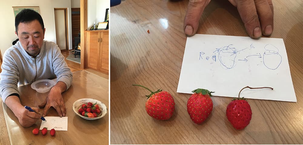 Winter in Japan 2016