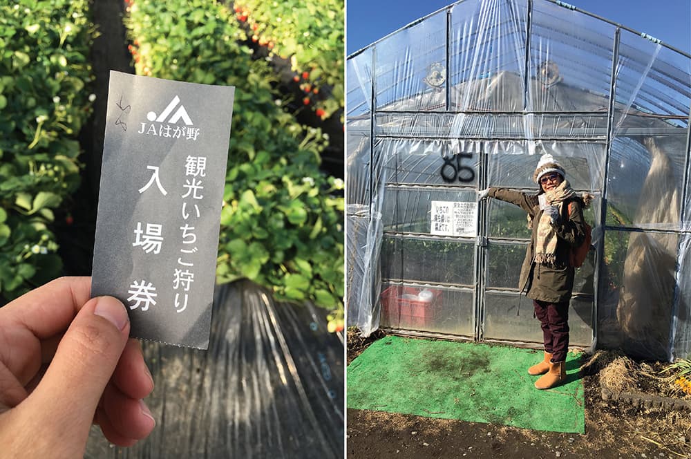 Winter in Japan 2016