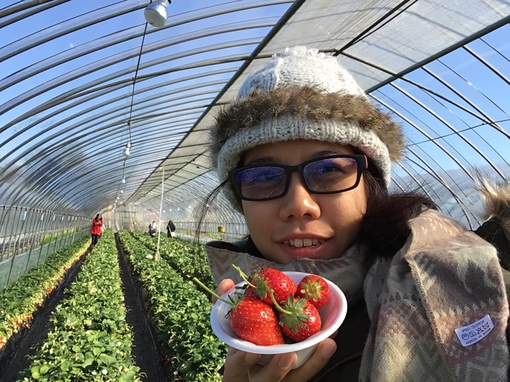 Winter in Japan 2016