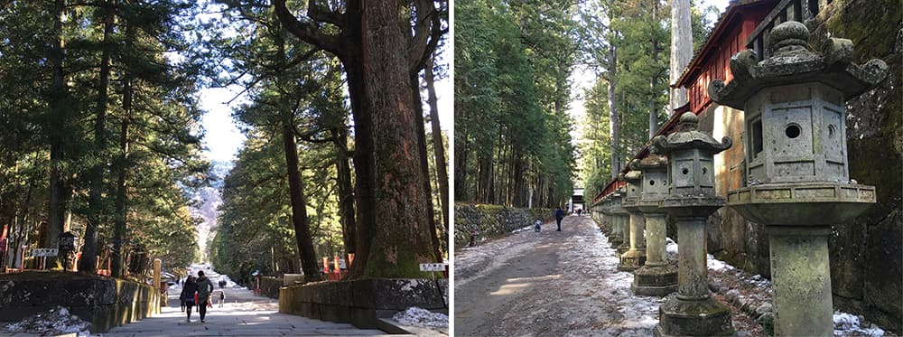 Winter in Japan 2016