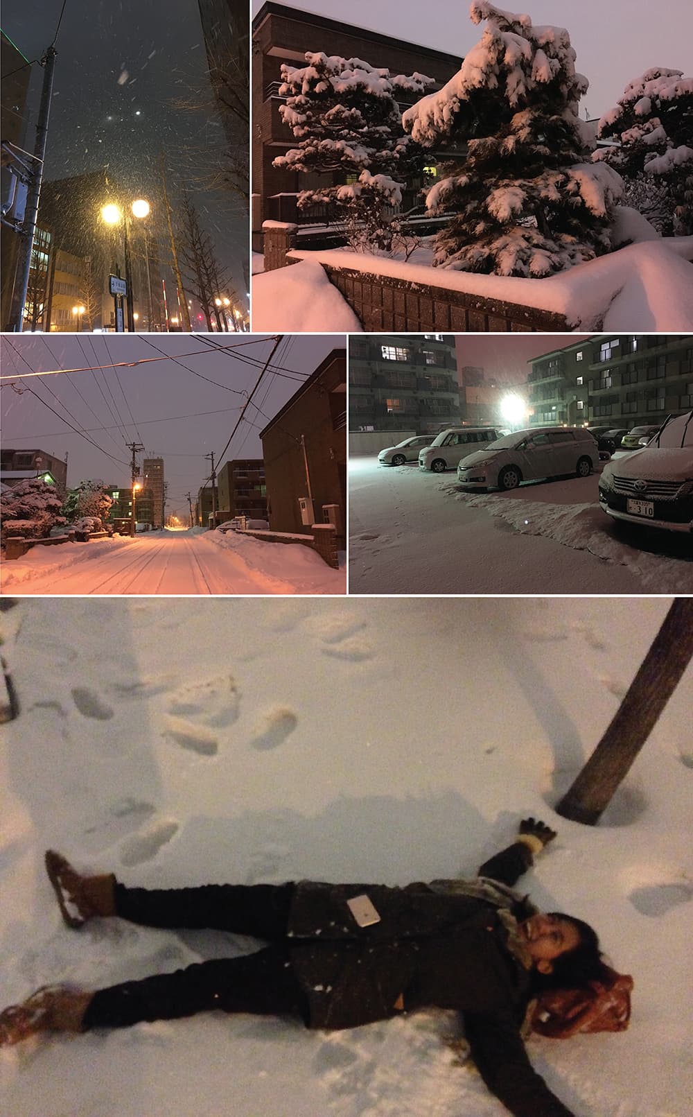 Winter in Japan 2016